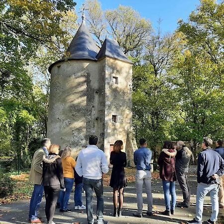 Chateau De Mornay Saint-Pierre-de-l'Isle Dış mekan fotoğraf