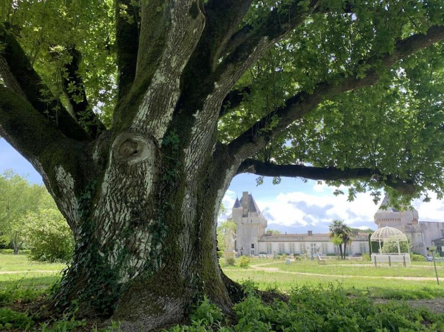 Chateau De Mornay Saint-Pierre-de-l'Isle Dış mekan fotoğraf